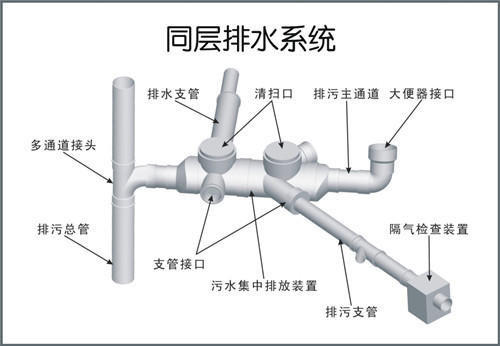 同层排水系统安装图6